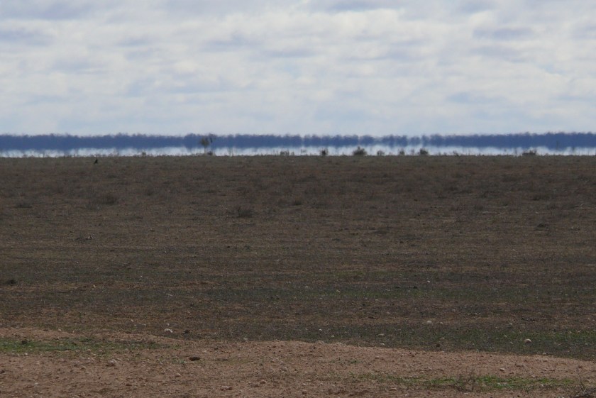 a bunch of picts to sort 092