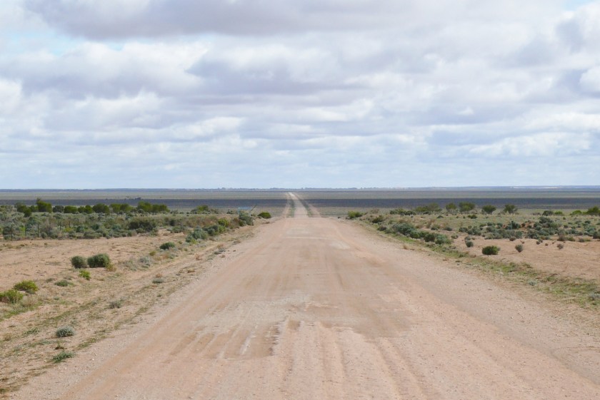 a bunch of picts to sort 114